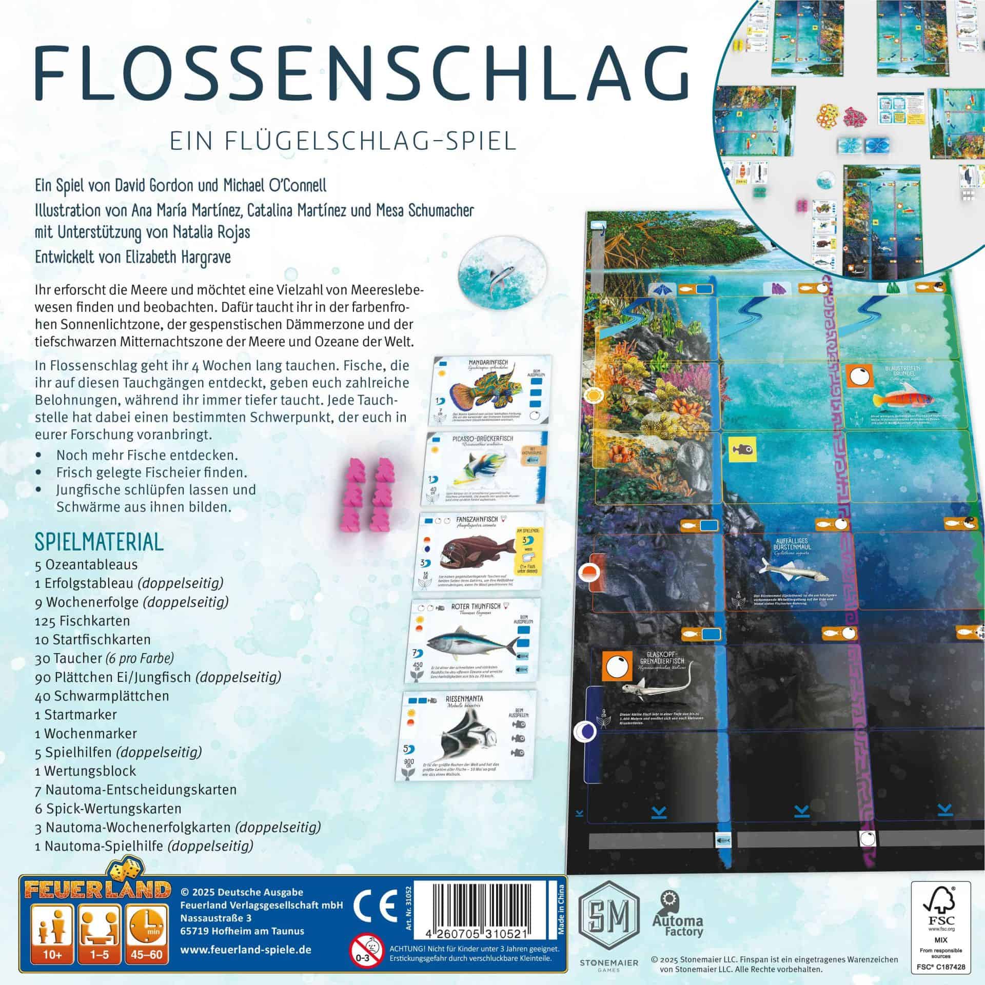 Flossenschlag – Bild 2
